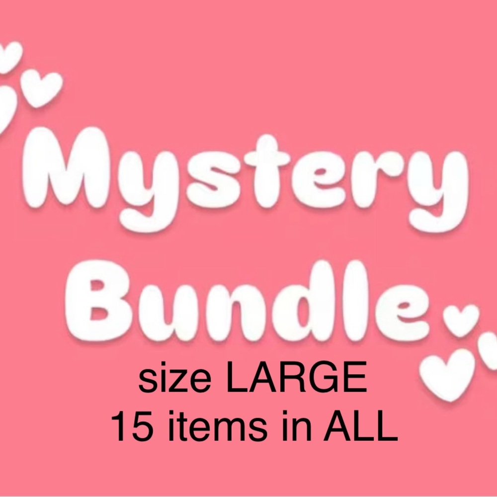 MYSTERY BUNDLE 
All Women's Size LARGE 
15 Pieces in Total